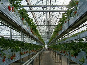 ���������_��